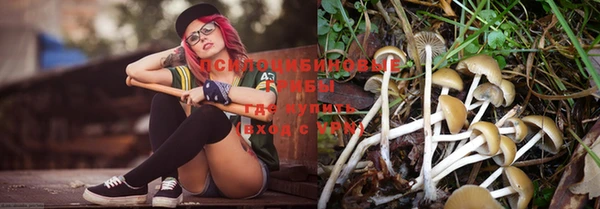 молекула духа Мегион
