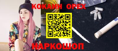 индика Бийск