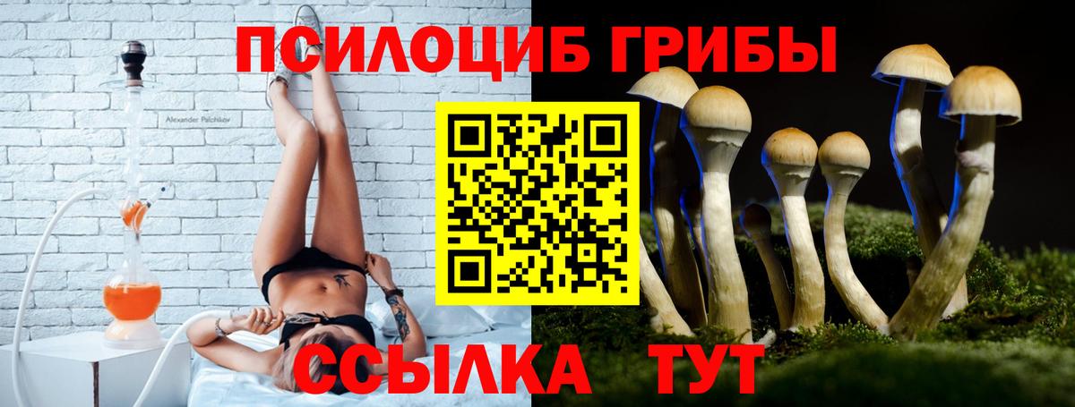 Псилоцибиновые грибы прущие грибы  как найти   Волжский 